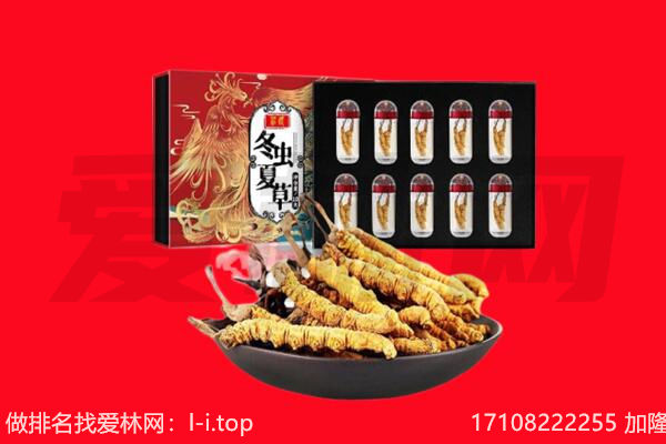 新乡辉县市回收虫草.jpg